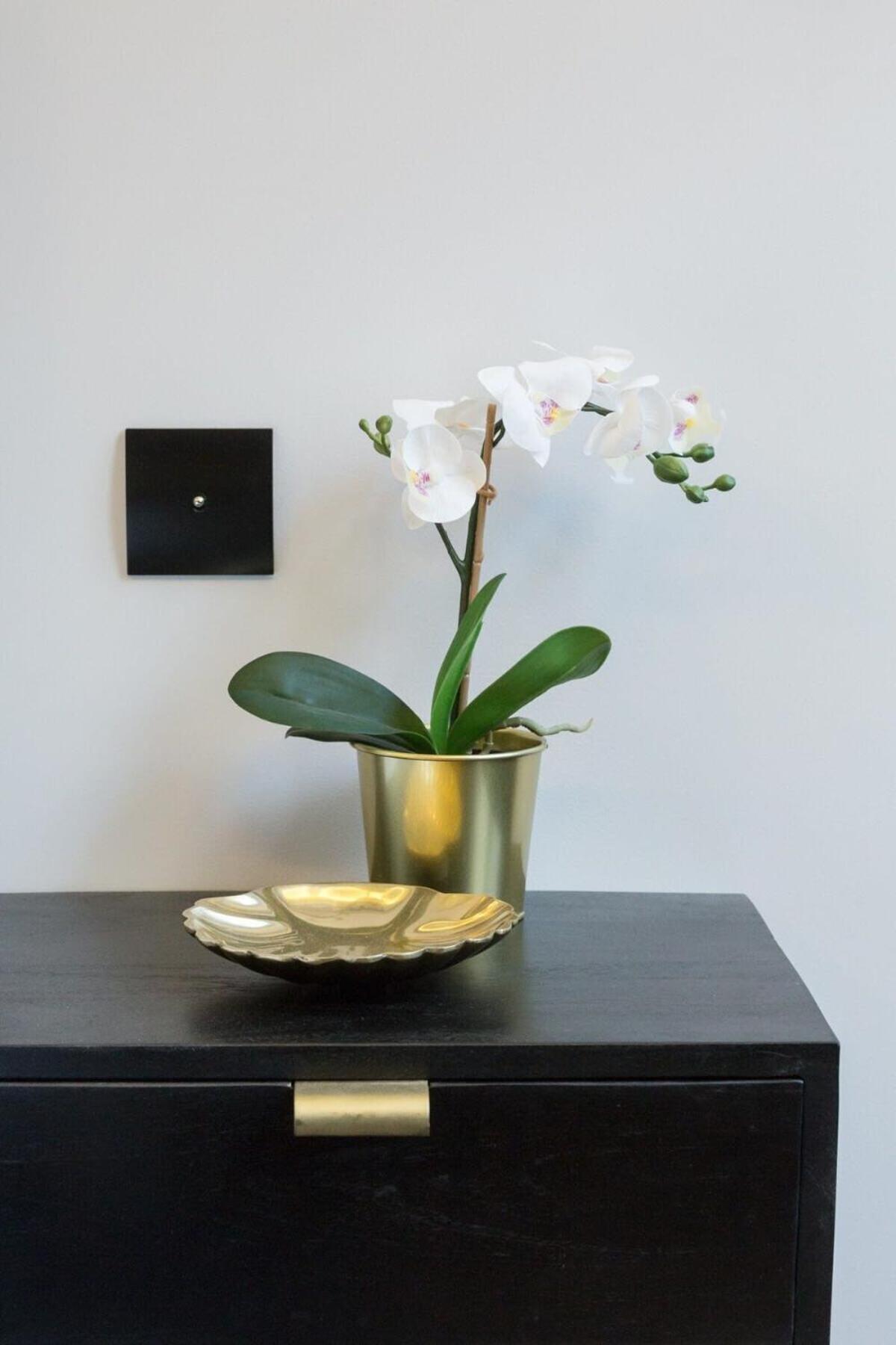 Le Cafe Des Invalides Apartment